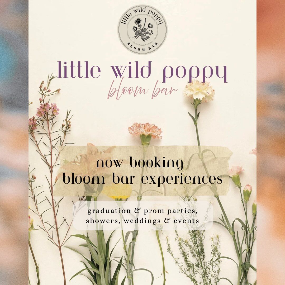 Little Wild Poppy from Instagram